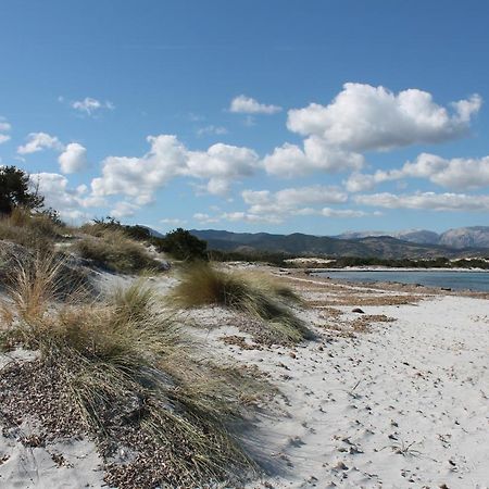 Villetta vista mare e tavolara Porto San Paolo  Esterno foto