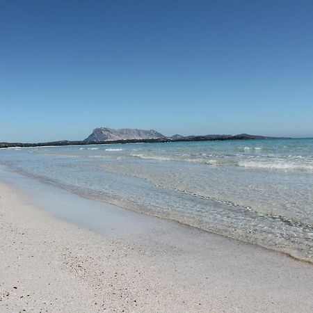 Villetta vista mare e tavolara Porto San Paolo  Esterno foto
