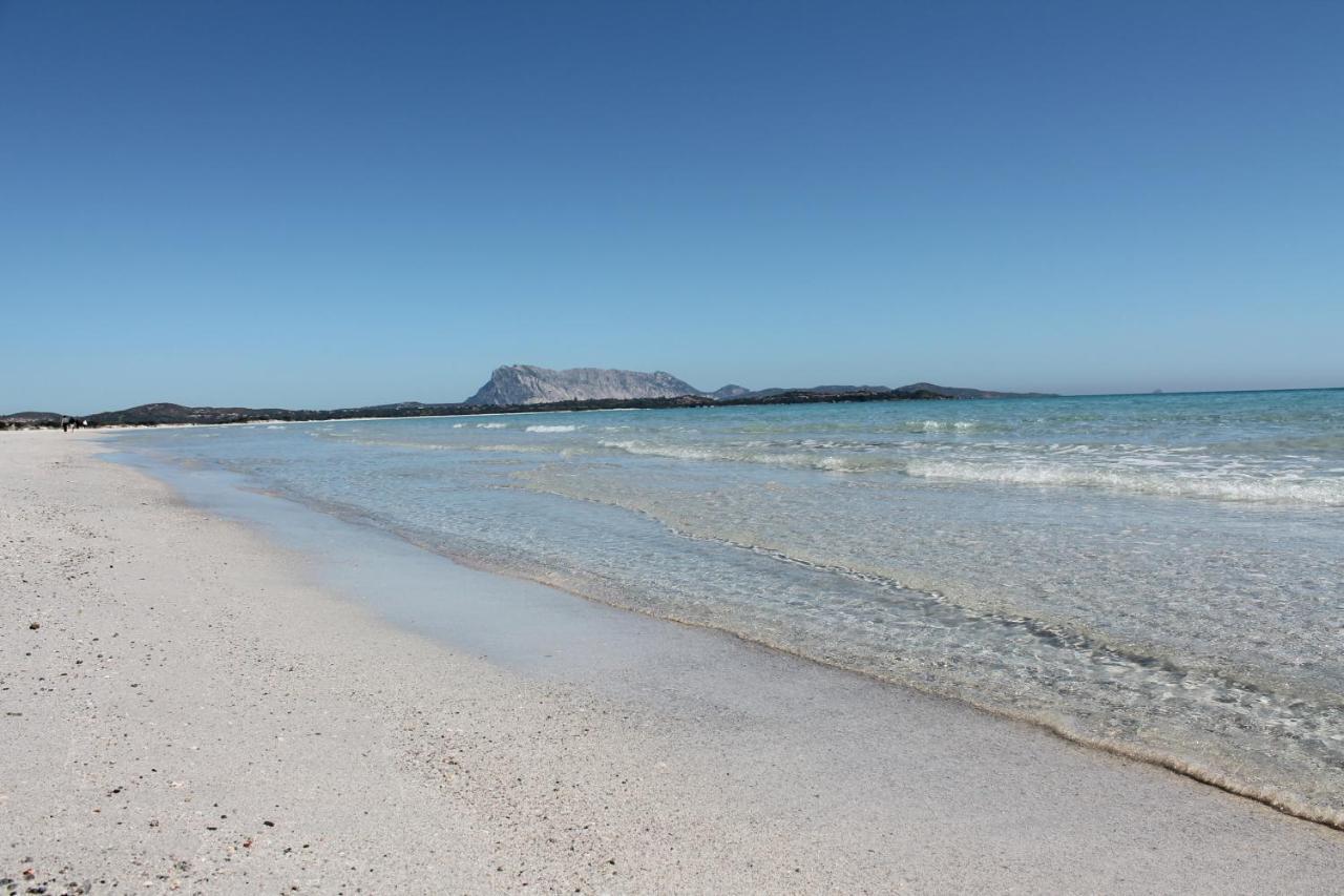 Villetta vista mare e tavolara Porto San Paolo  Esterno foto